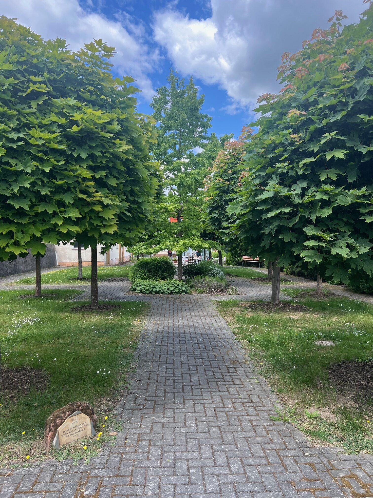 Der Garten rund um das Atelier SiSu auf dem Hebronberg